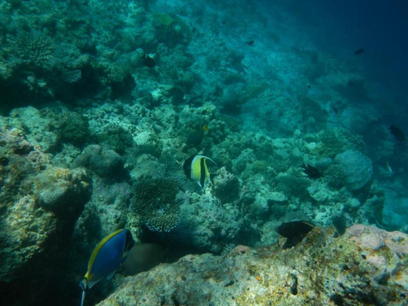 Arena Lodge Sky Maafushi Luaran gambar