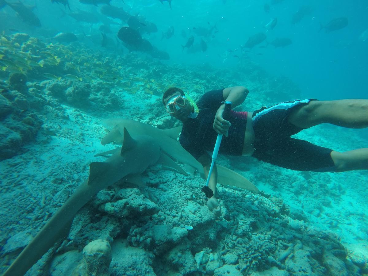 Arena Lodge Sky Maafushi Luaran gambar